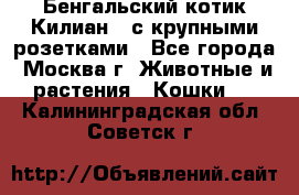 Бенгальский котик Килиан , с крупными розетками - Все города, Москва г. Животные и растения » Кошки   . Калининградская обл.,Советск г.